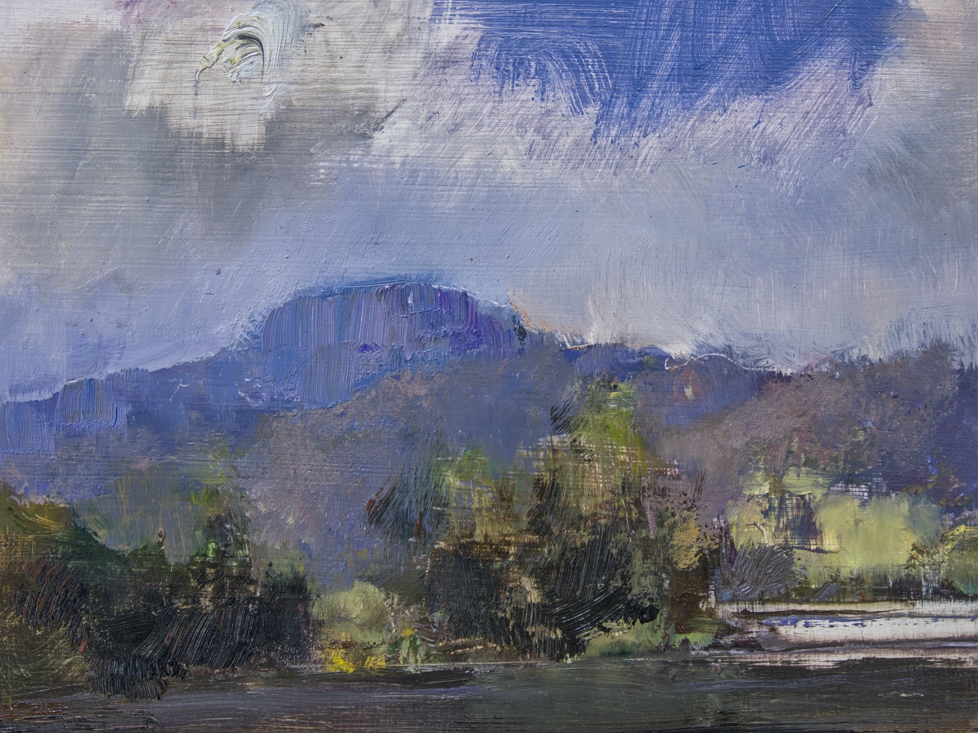 Cloudy winter morning, Glen Huon