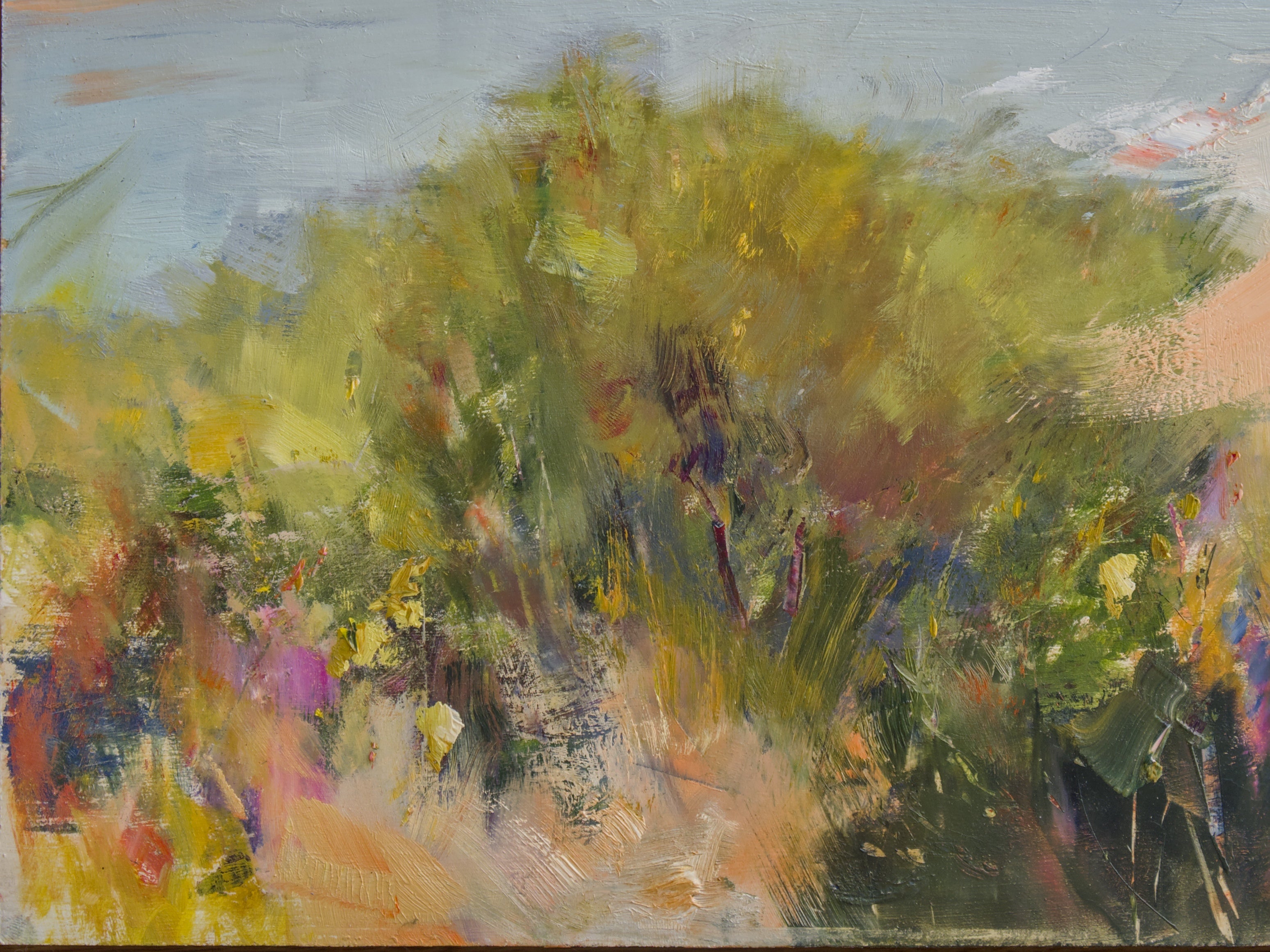 The bushy knoll above Clifton Beach