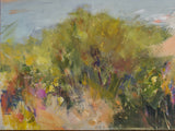 The bushy knoll above Clifton Beach