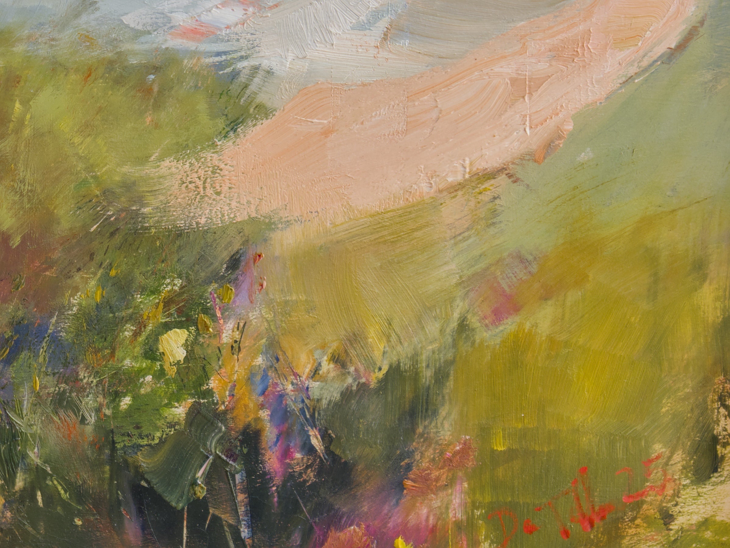 The bushy knoll above Clifton Beach