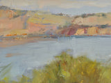 The bushy knoll above Clifton Beach