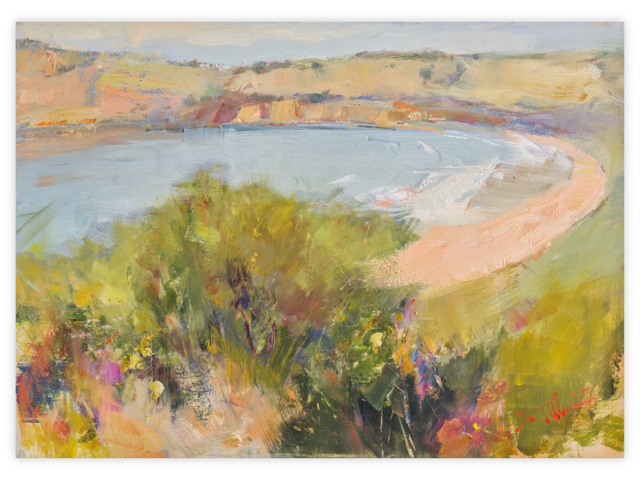 The bushy knoll above Clifton Beach