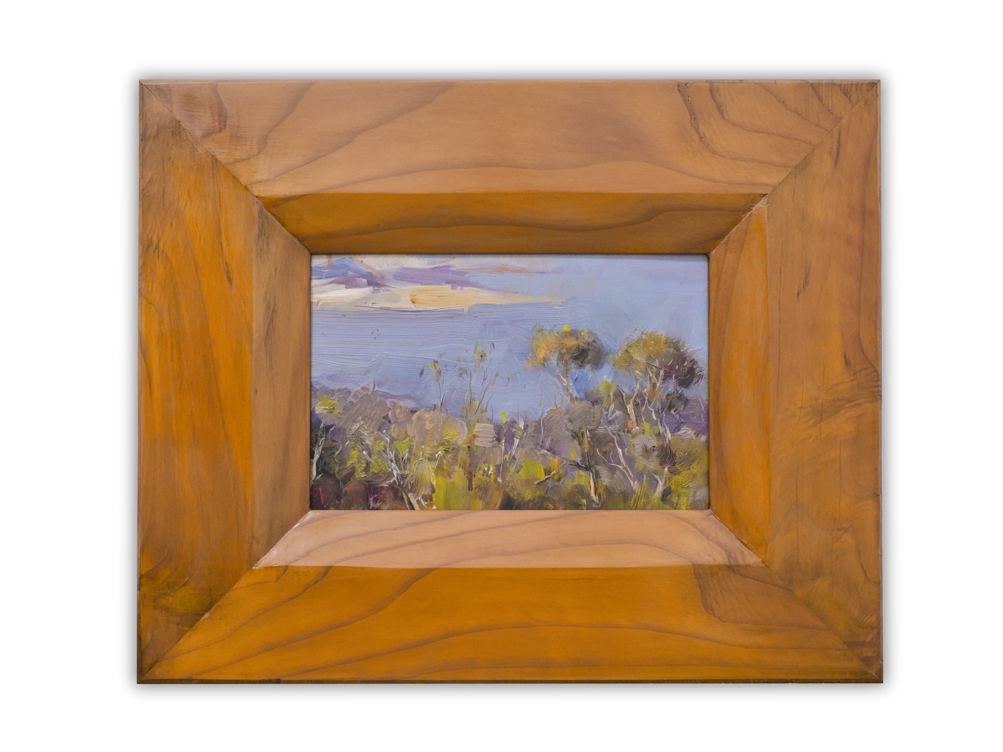 Old Gums sway above Pacific Blue (2022)
